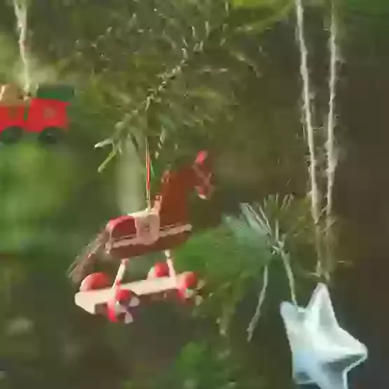 Christmas Tree Festival